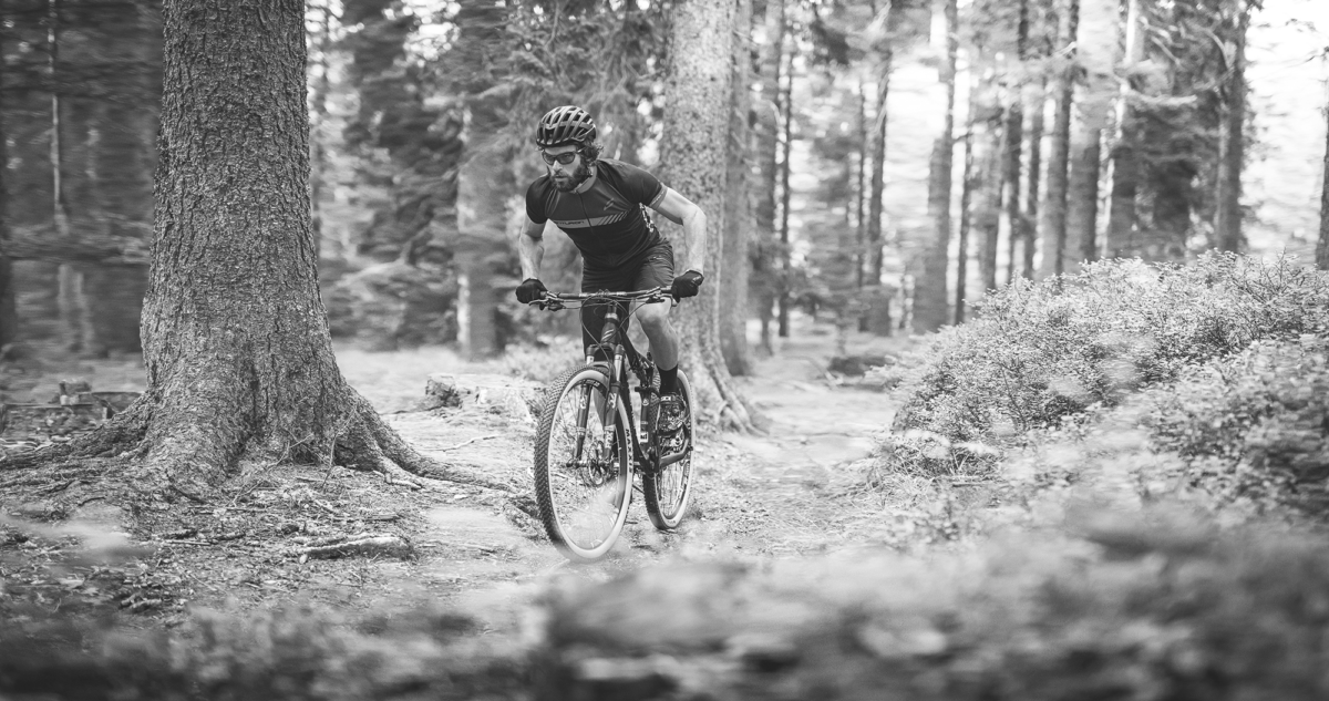 VeloIn_hero_2