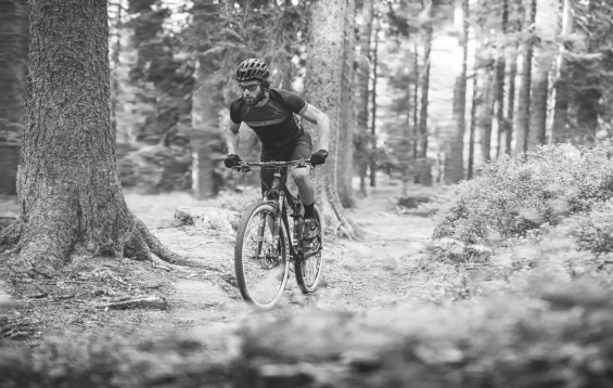 VeloIn_hero_2